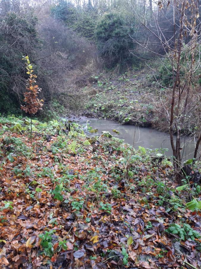 Daiches Braes Brunstane Portobello EDI Kültér fotó